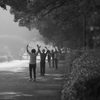 浅い記憶