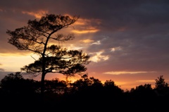 夕暮れ