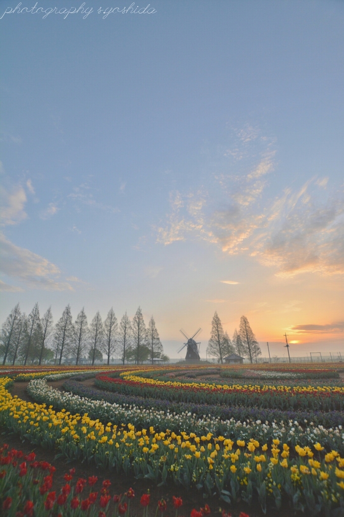 あけぼの山農業公園