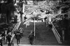 大神神社参道