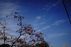 秋空