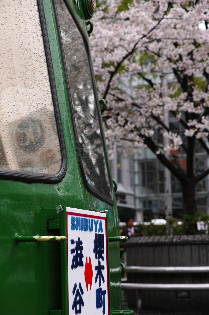 渋谷→桜木町→桜