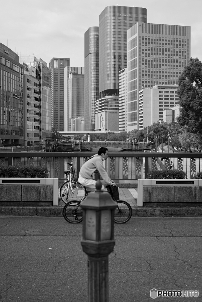 自転車越しの中之島