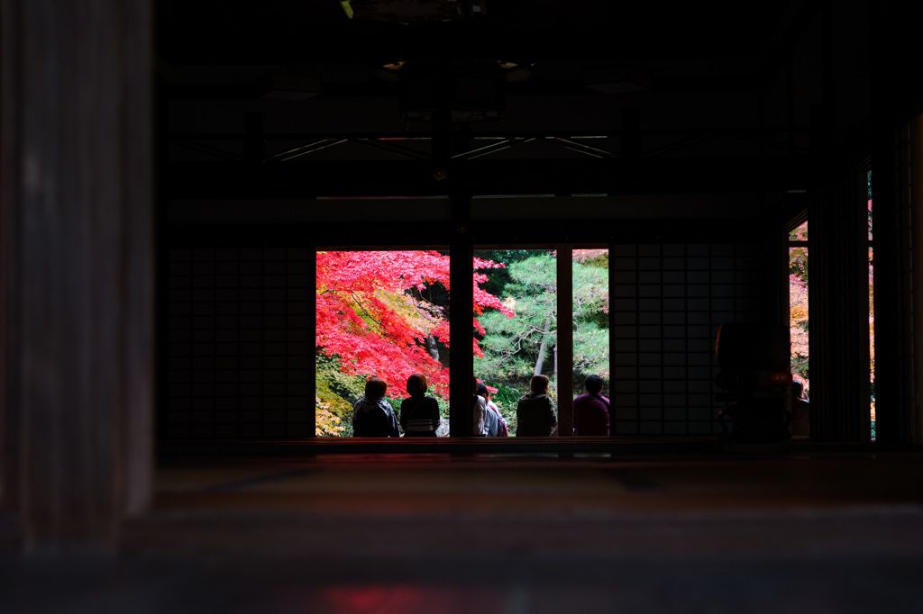 紅葉狩りJAPAN