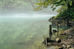湖の朝靄