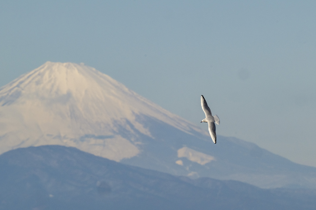 背景は富士山！！