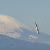 背景は富士山！！