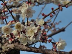 春のおとずれ