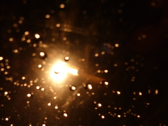 雨粒の光