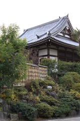 福王寺と鳩。。