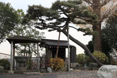 松。。