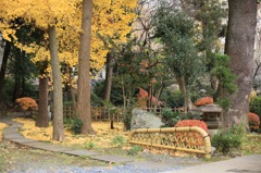 小さな和。。