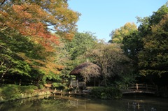 県立東高根公園。。