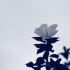 空へ
