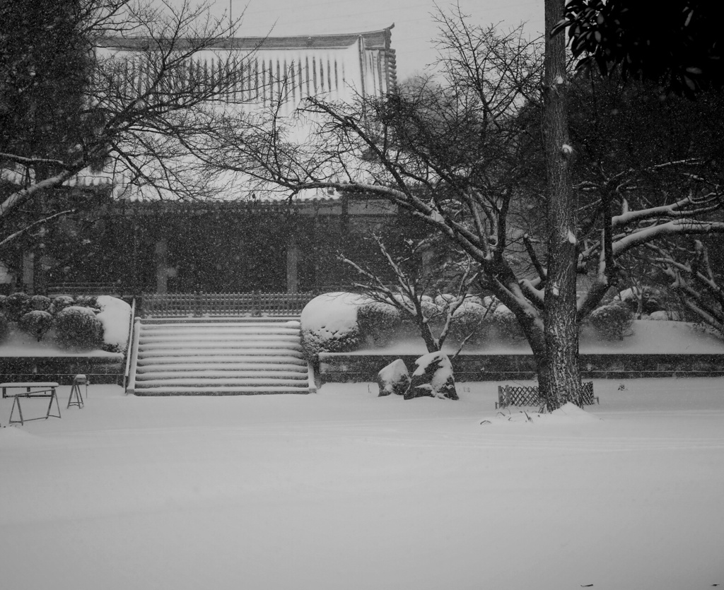 川崎雪降る to 寺。。