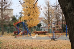 晩秋の公園。。