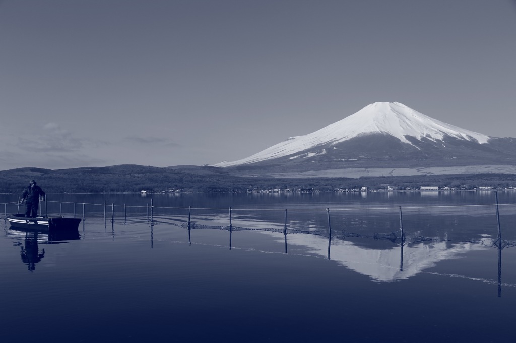 富士に生きる。