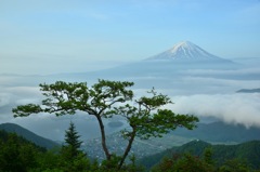 昔話みたいな。。