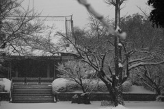 またまた雪降るto寺Ⅱ