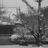 またまた雪降るto寺Ⅱ
