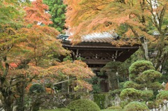 大雄山最乗寺2