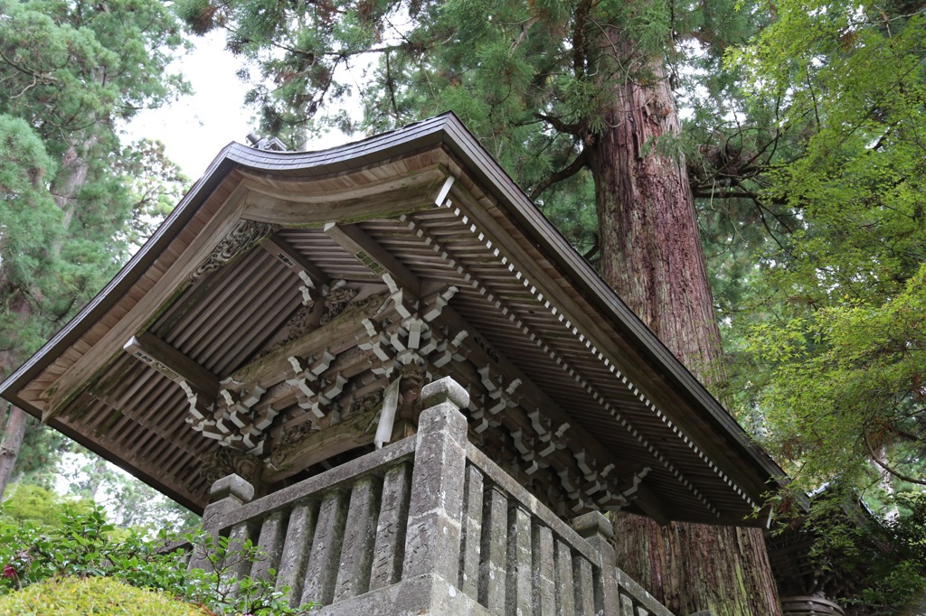 燐として。。