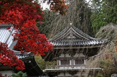 大雄山最乗寺。。