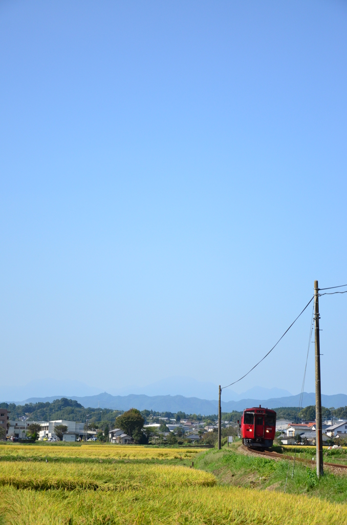 青空の下をゆく