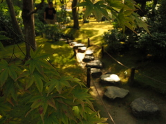 通り道