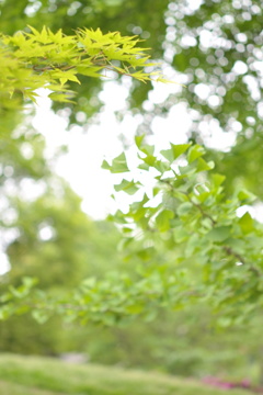 5月