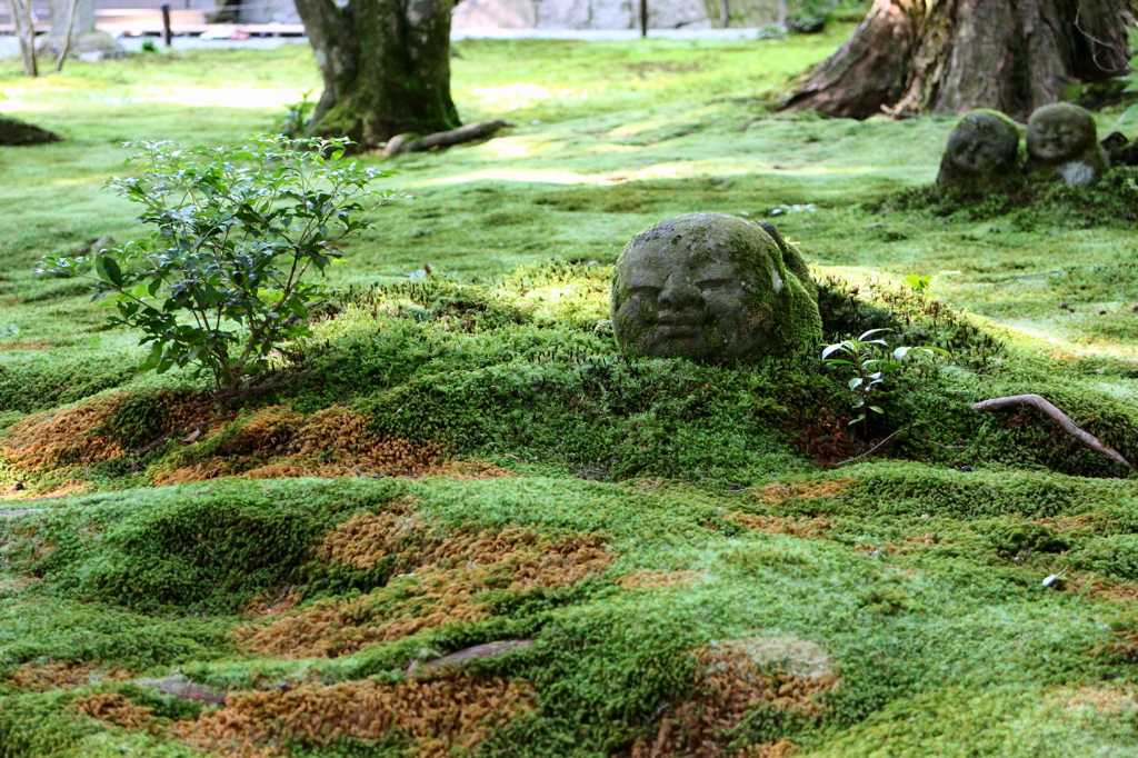 大原三千院の童地蔵