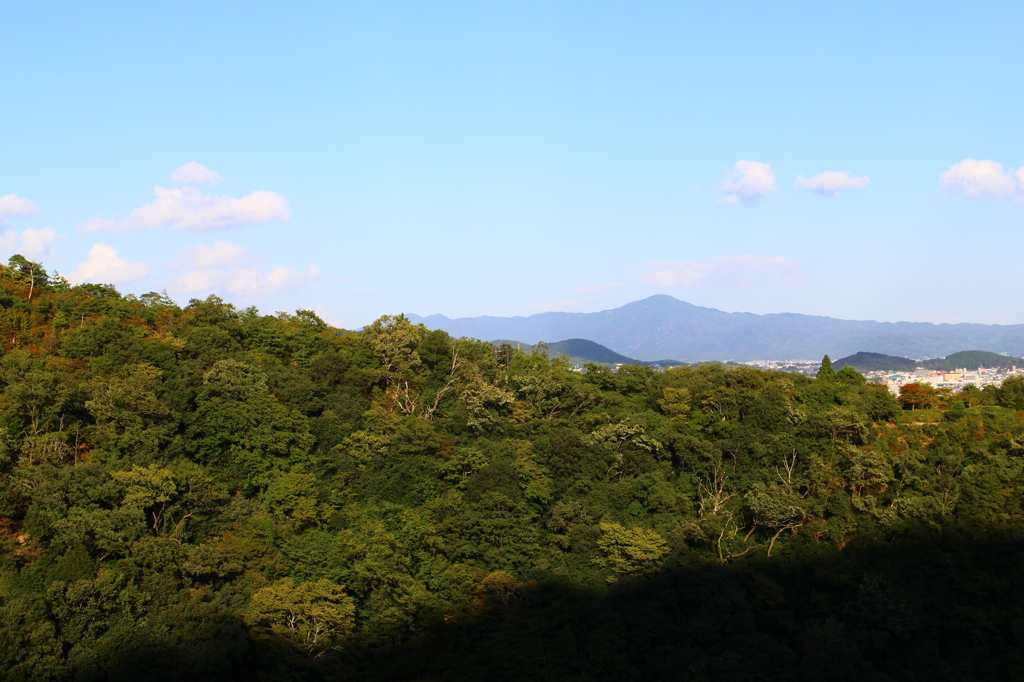 大悲閣から眺める京都