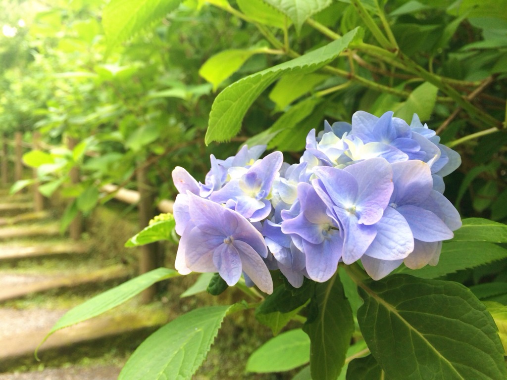 一足お先