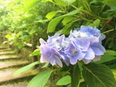 一足お先