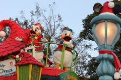 TDL 2013