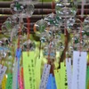 かえる寺の風鈴まつり
