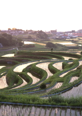 棚田