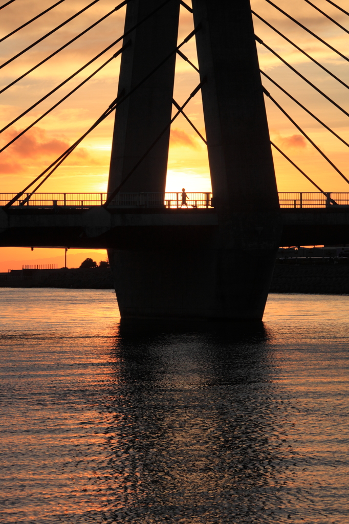 斜張橋と朝日