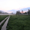 尾瀬の朝霧