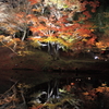  高台寺紅葉