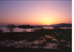 琵琶湖夕日
