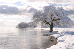 琵琶湖雪景