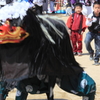 獅子舞