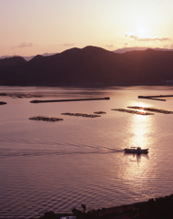福良湾朝日