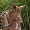 信楽の馬