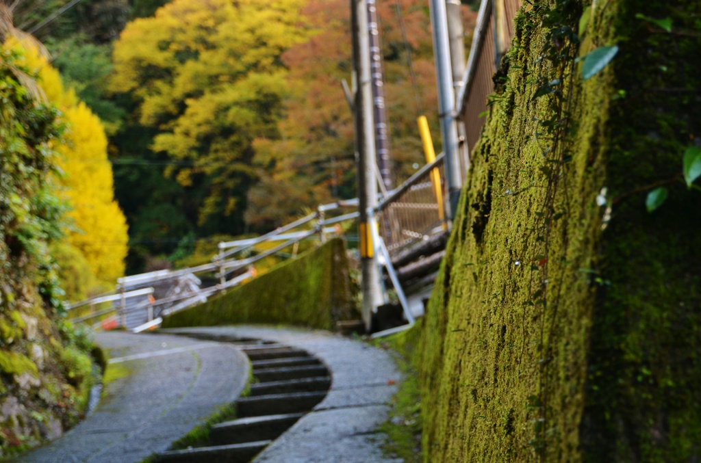田舎道