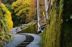 田舎道