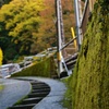 田舎道