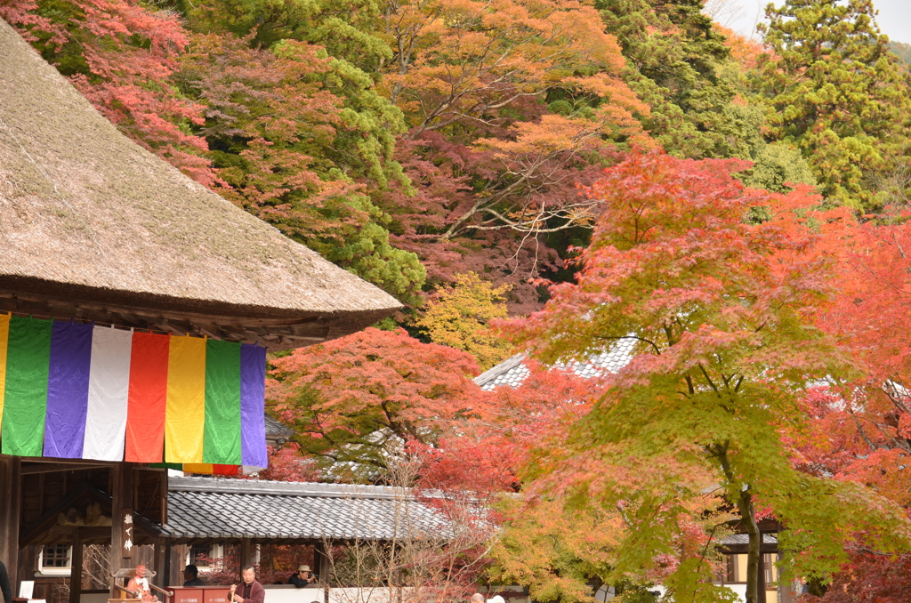 永源寺