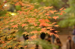 永源寺